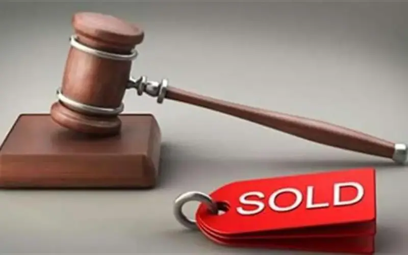 مزاد وزارة المالية المصرية: كيف تشتري احتياجاتك بأقل الأسعار المتاحة بالسوق؟